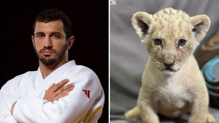 აქამდე უცნობი დეტალები - ლაშა ბექაურის ლომის ბოკვერის რეალური ისტორია