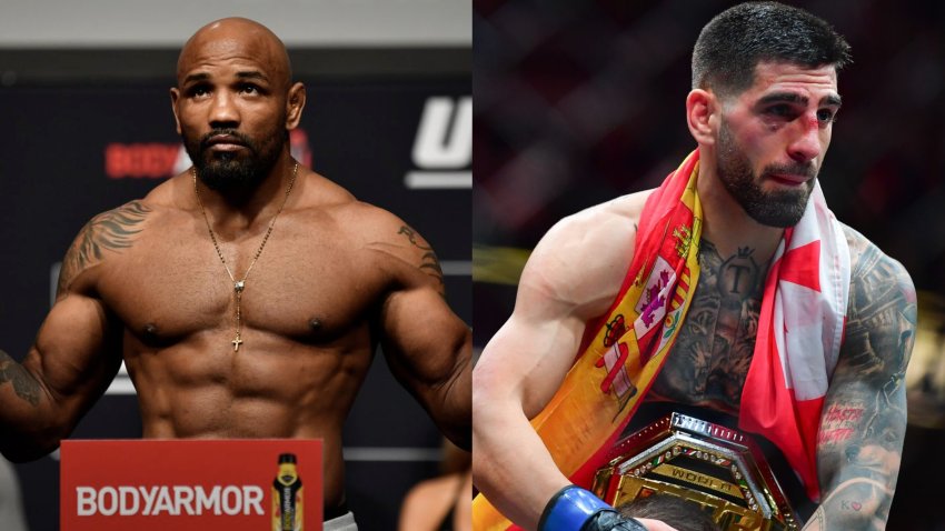 "ქართველებს სასწაული გენეტიკა აქვთ" - იოელ რომეროს ძალიან მაგარი სიტყვები